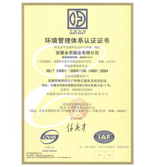 Yongjie - Environmental Management System Certificate 